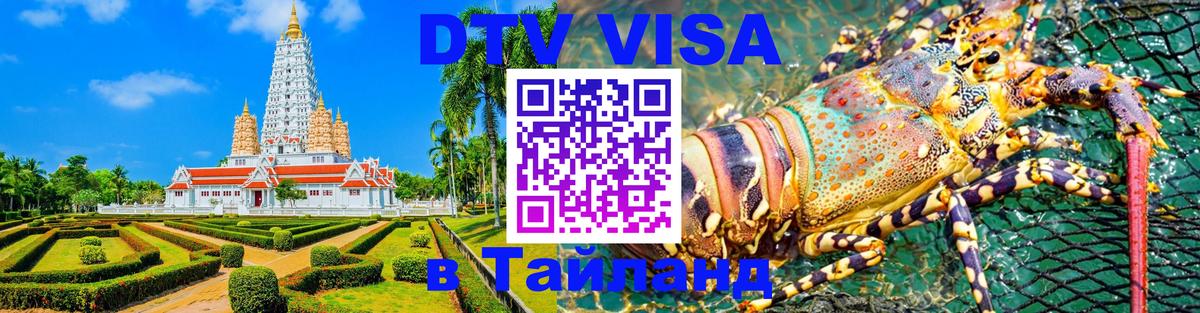 Оформление DTV визы под ключ: стоимость и тарифы, только загранпаспорт - 20.11.2025 